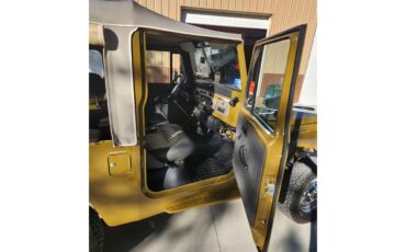 Toyota-Land-cruiser-fj43-1984-Brown-Gray-8