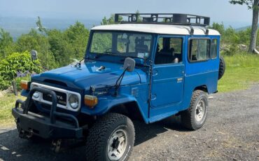 Toyota-Land-cruiser-landcruiser-diesel-1981-blue-8