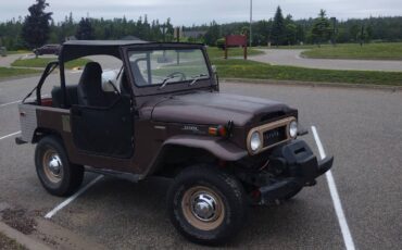 Toyota-fj40-land-cruiser-1971-brown-16