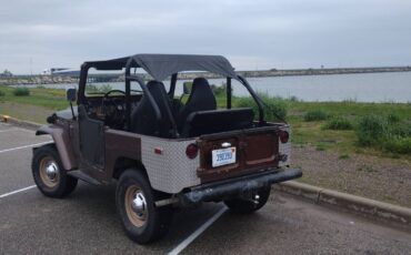 Toyota-fj40-land-cruiser-1971-brown-18
