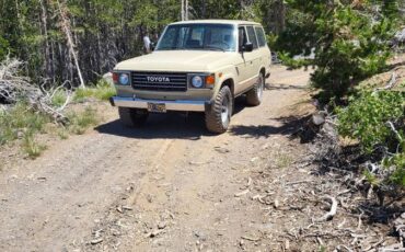Toyota-land-cruiser-1983-18