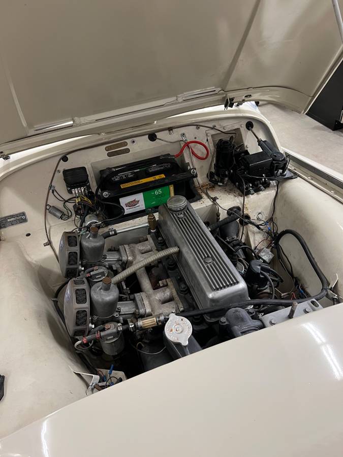 Tr3-1959-custom-2