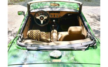 Triumph-Spitfire-1979-British-racing-green-Camel-4