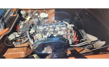 Triumph-Tr6-1976-British-Maple-Black-18
