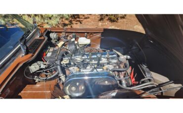 Triumph-Tr6-1976-British-Maple-Black-6