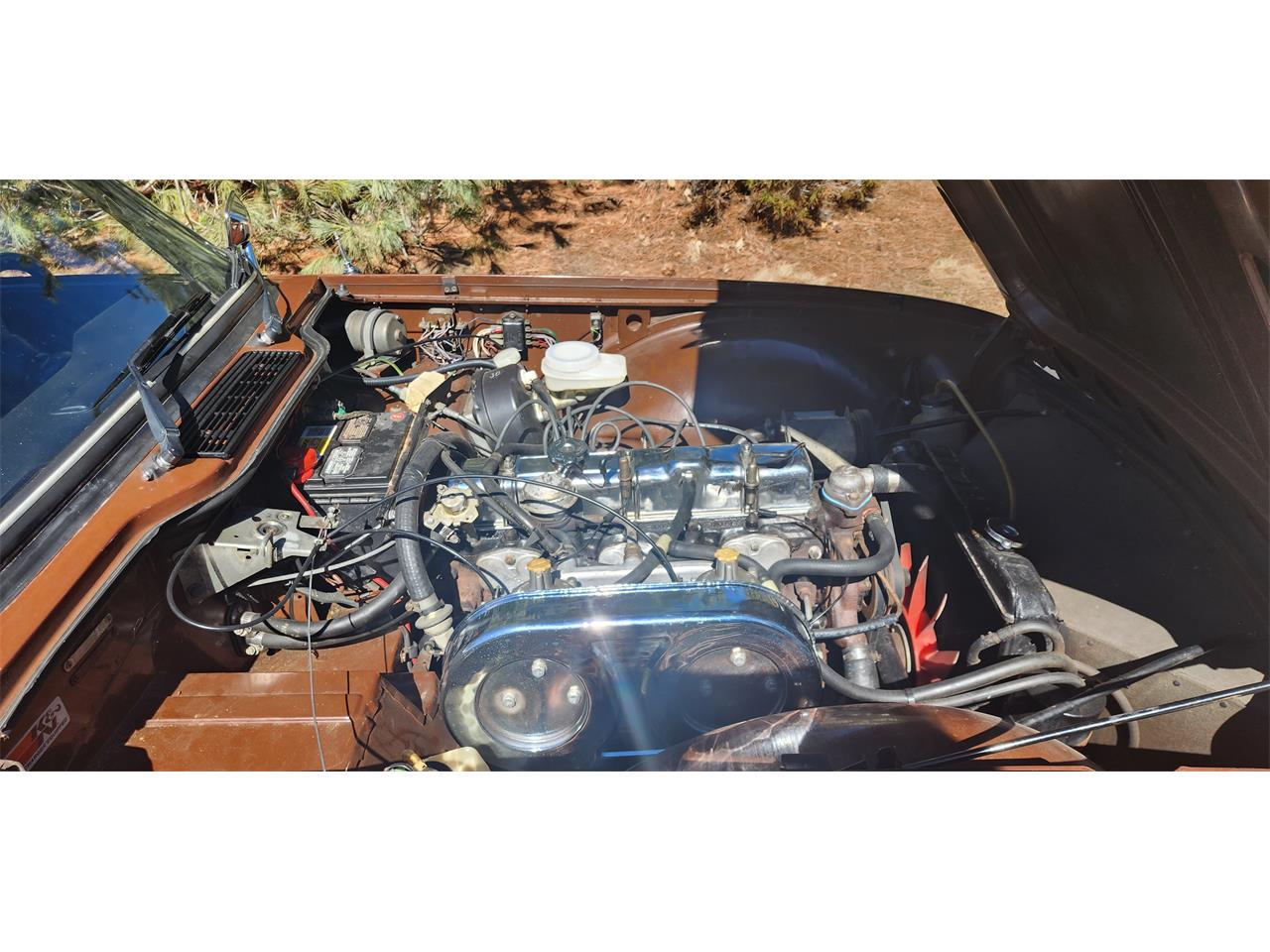 Triumph-Tr6-1976-British-Maple-Black-6
