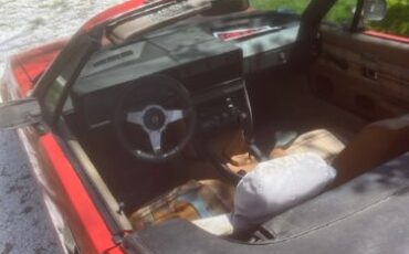 Triumph-Tr7-1980-Orange-6