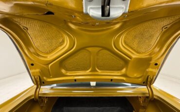 Unknown-150-1957-Mustard-Gold-Black-26