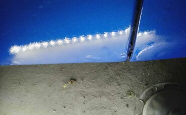 Unknown-1600-2-1968-Blue-White-19