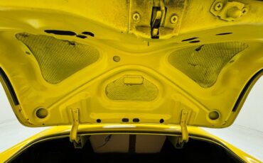 Unknown-210-1953-Yellow-Black-30