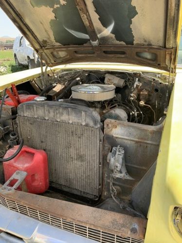 Unknown-210-1957-Yellow-Black-11