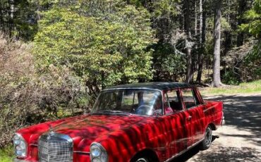 Unknown-220b-1961-RedBlack-16