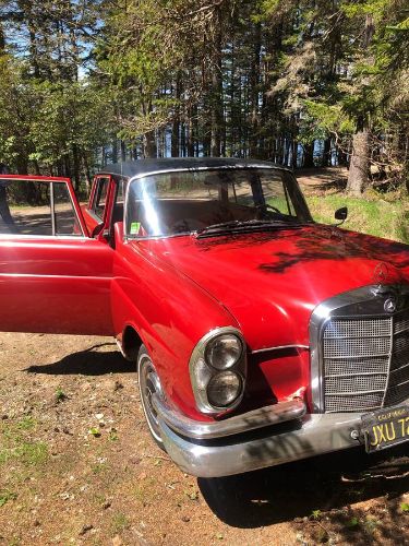 Unknown-220b-1961-RedBlack-17