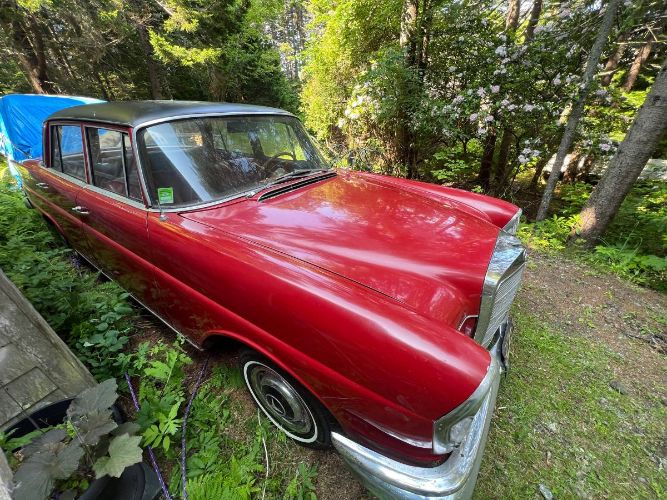 Unknown-220b-1961-RedBlack-5