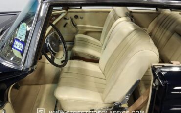 Unknown-250se-1966-Dark-Blue-Tan-42