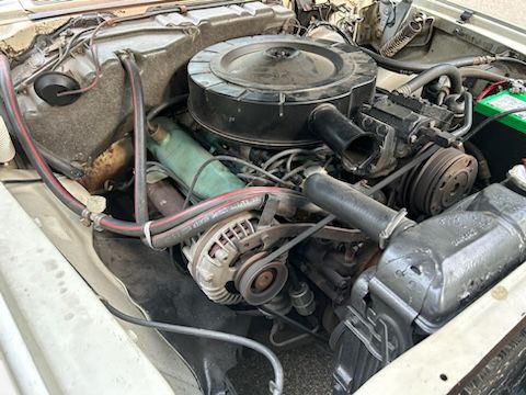 Unknown-300-1964-White-12