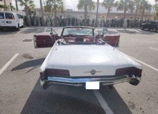 Unknown-300-1966-White-11