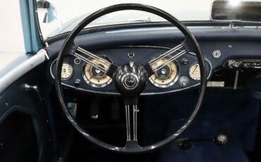 Unknown-3000-1959-Iris-Blue-Blue-16