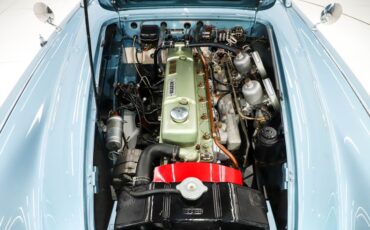 Unknown-3000-1959-Iris-Blue-Blue-2