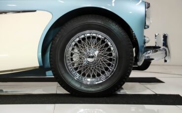 Unknown-3000-1959-Iris-Blue-Blue-31