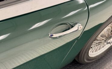 Unknown-3000-1967-British-Racing-Green-Black-17
