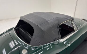 Unknown-3000-1967-British-Racing-Green-Black-19