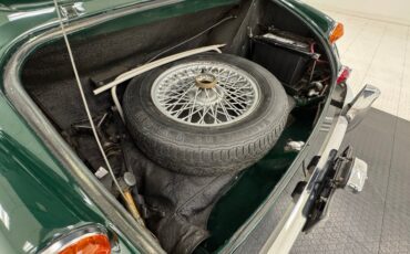 Unknown-3000-1967-British-Racing-Green-Black-27
