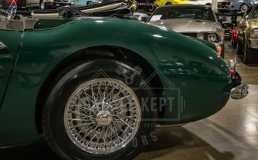 Unknown-3000-1967-Green-Black-26