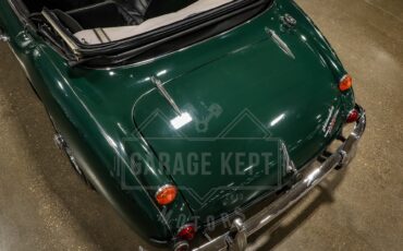 Unknown-3000-1967-Green-Black-27