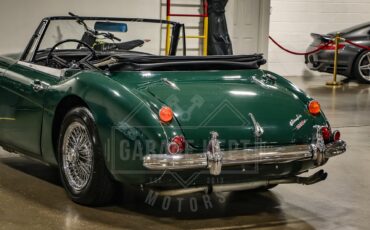 Unknown-3000-1967-Green-Black-28