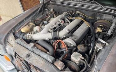 Unknown-300sel-1970-Black-Tan-1