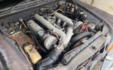 Unknown-300sel-1970-Black-Tan