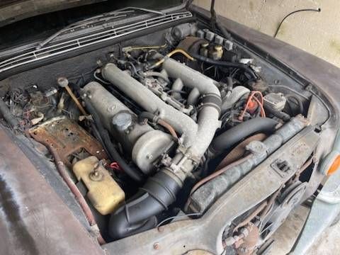 Unknown-300sel-1970-Black-Tan