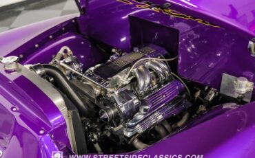 Unknown-3100-1954-Purple-Black-33