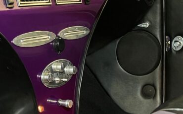 Unknown-3100-1954-Purple-Black-44