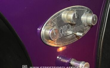 Unknown-3100-1954-Purple-Black-45
