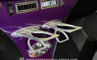 Unknown-3100-1954-Purple-Black-46