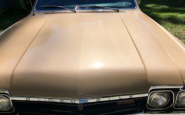 Unknown-442-1966-Sierra-Mist-15