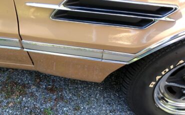 Unknown-442-1966-Sierra-Mist-42