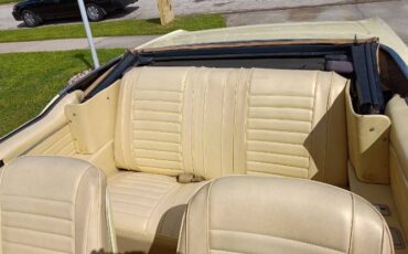 Unknown-442-1967-Yellow-3