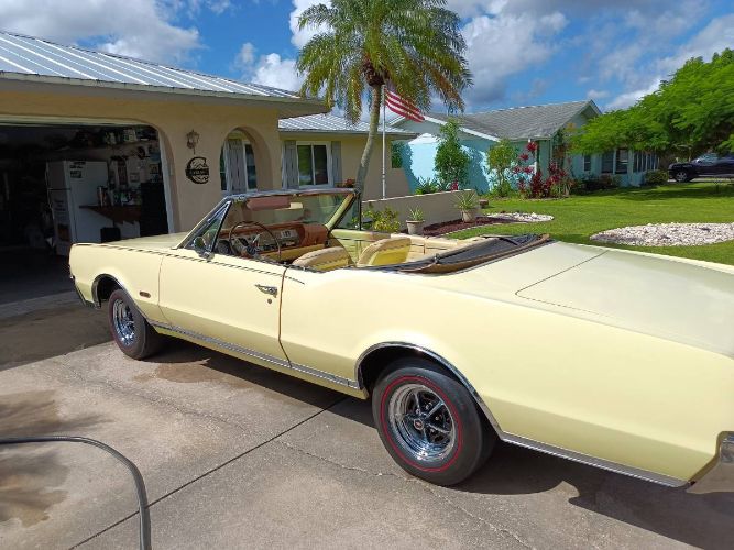 Unknown-442-1967-Yellow-5