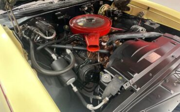 Unknown-442-1968-Saffron-Yellow-Black-17