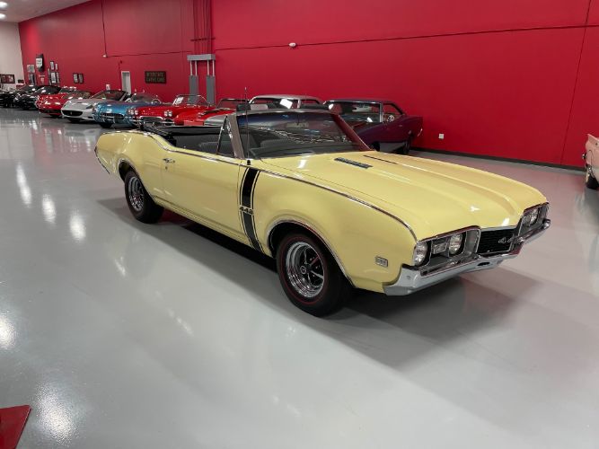 Unknown-442-1968-Saffron-Yellow-Black-25