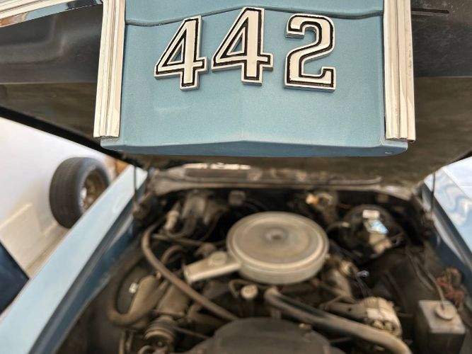 Unknown-442-1969-Light-BlueWhite-White-20