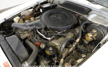 Unknown-450sl-1973-White-Brown-23