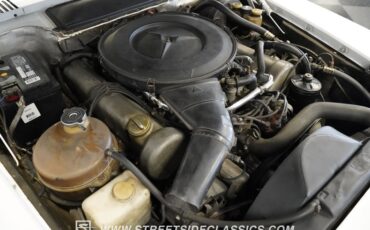 Unknown-450sl-1973-White-Brown-24