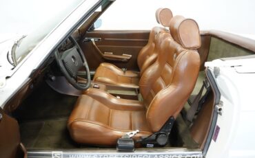 Unknown-450sl-1973-White-Brown