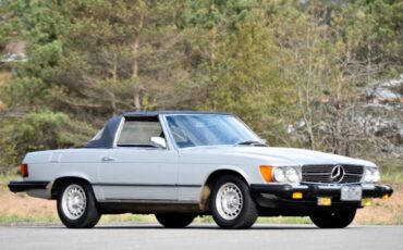 Unknown-450sl-1974-Gray-11