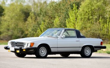 Unknown-450sl-1974-Gray-13