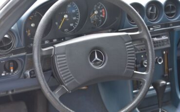Unknown-450sl-1974-Gray-16
